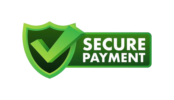 secure payment credit card icon with shield secure transaction stock illustration vector